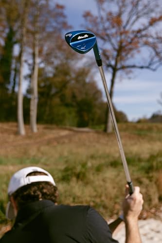 Mizuno Pro T1 Blue Ion Wedge 8.0 True Temper Dynamic Gold Tour Issue S400 Right 56.0